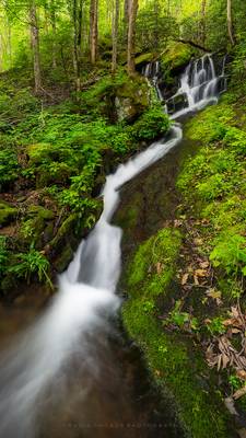 Tremont Waterfall