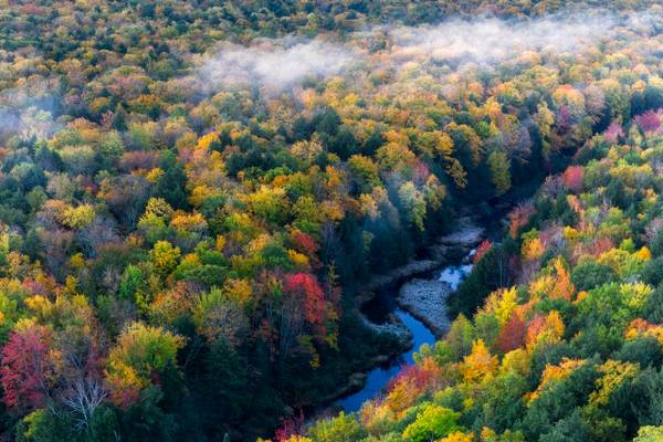 Misty Morning - Carp River, MI