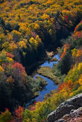 Carp River in Fall