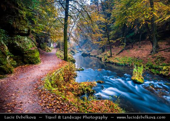 Czech Republic - Bohemian Switzerland National Park - České Švýcarsko - Kamenice Gorge at Autumn