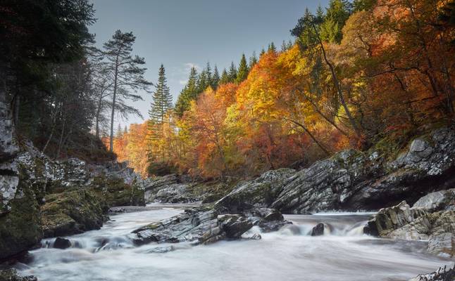 Autumn Morning on the Findhorn River - Scotland
