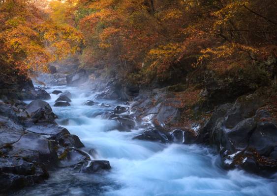 Japan fall Colors