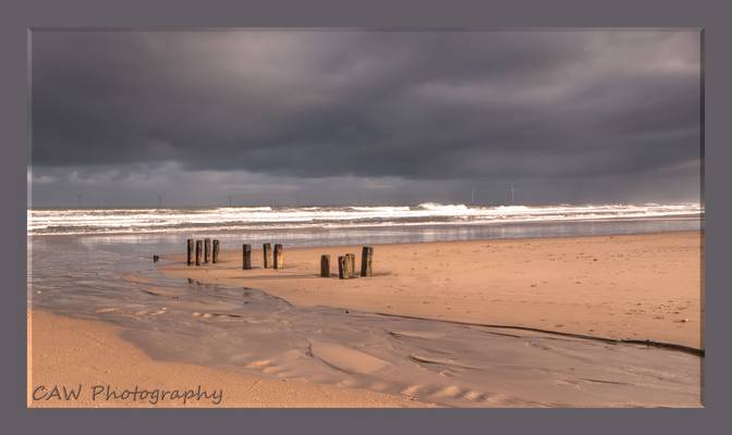 - Cambois Delight