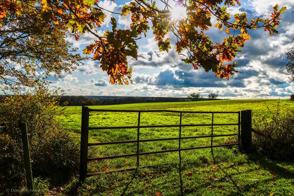 "Autumn". Trottiscliffe, Kent, England