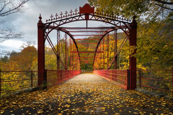 Bridge of Love