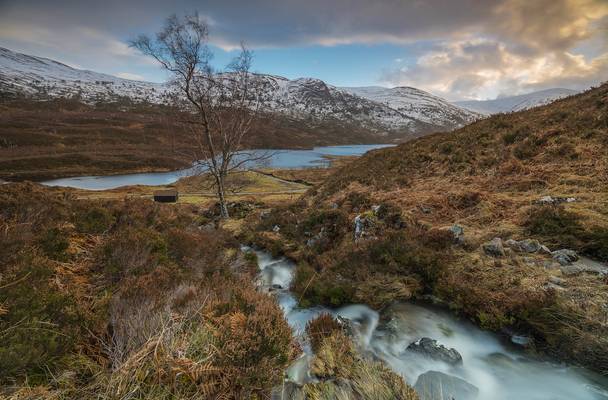 A Glen Cannich View ..