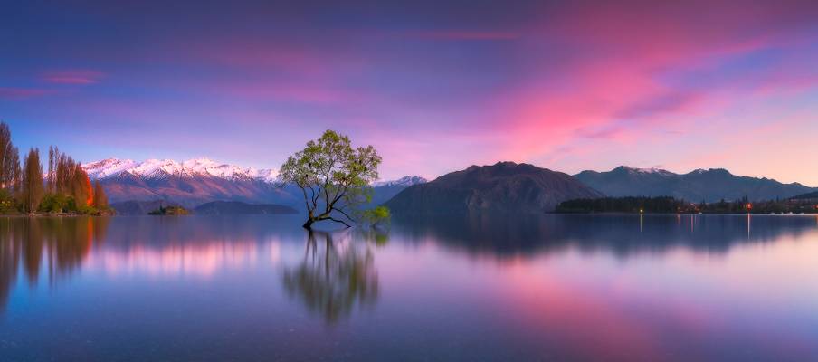 Wanaka Blush