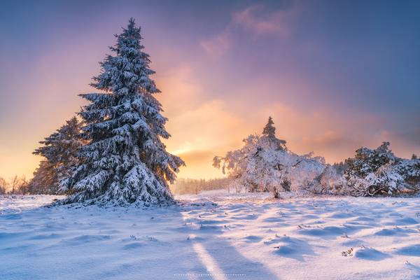 calm winter evening