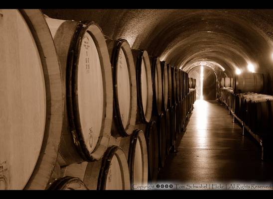 The Light at the End of the Wine Cellar...