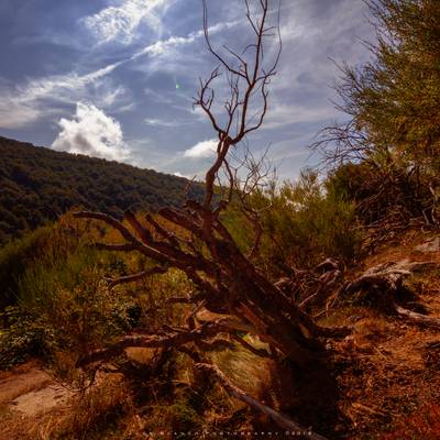 Fuente el Cobre | Montaña Palentina | 2018