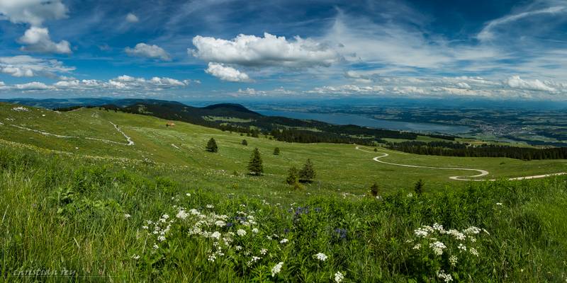 Panorama from the Chasseron