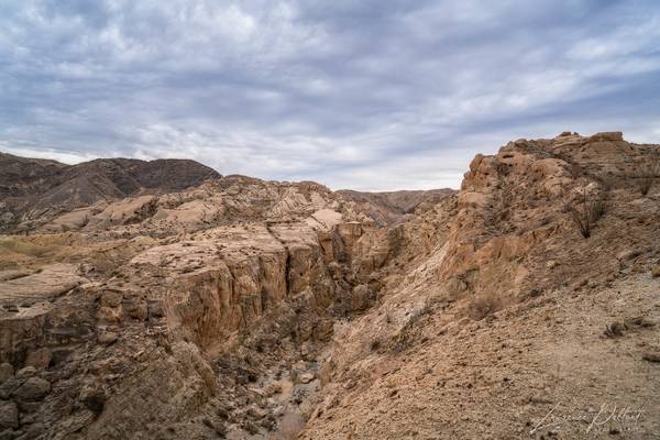 Coyote Mountains