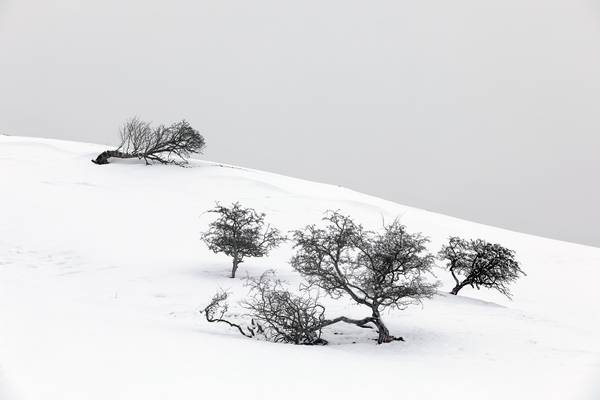 Winter Wonderland, Ullswater, Lake District