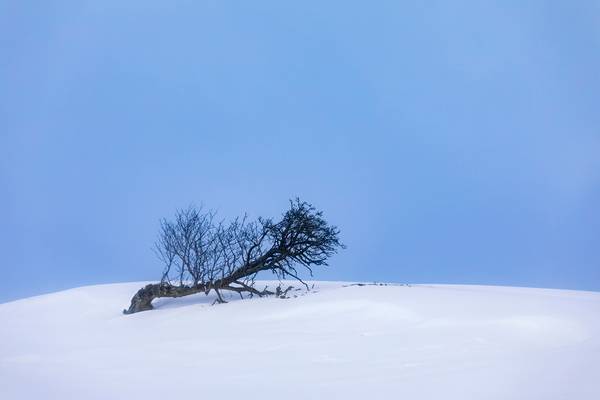 Taking A Lie Down In The Snow, Matterdale, Lake District