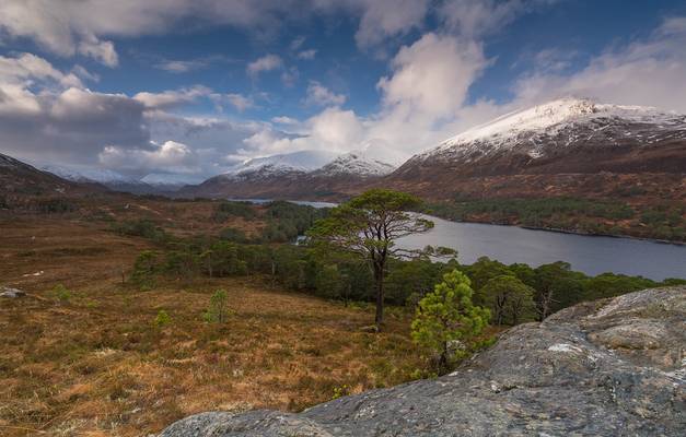 A Glen Affric View ..