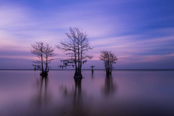 Pastel Painted Sky