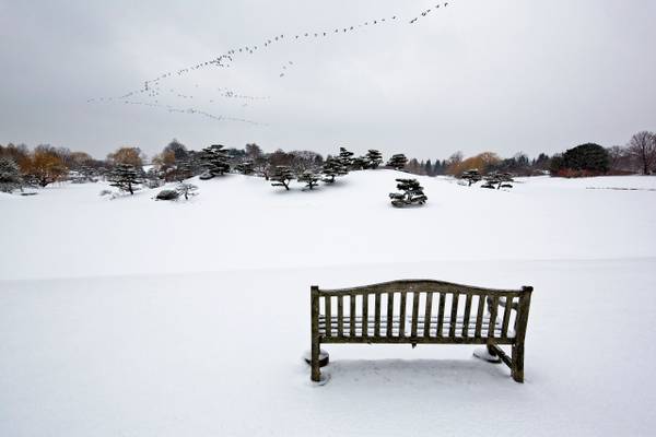 Watching Winter Fly By