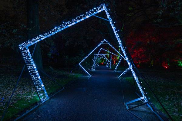 Edinburgh Botanic Lights