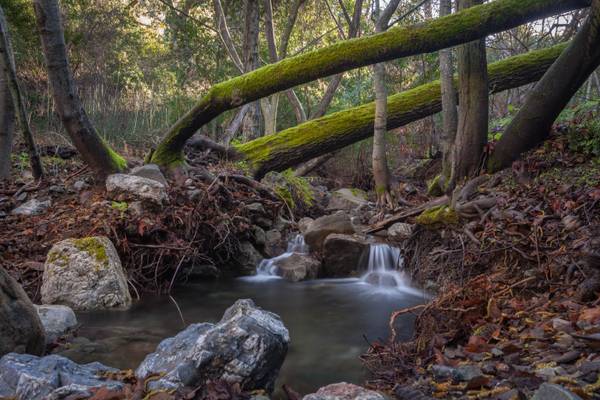 Mitchel Rock Trail