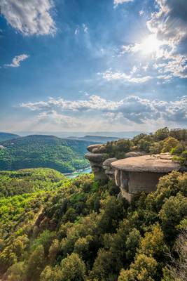 Mushroom rocks