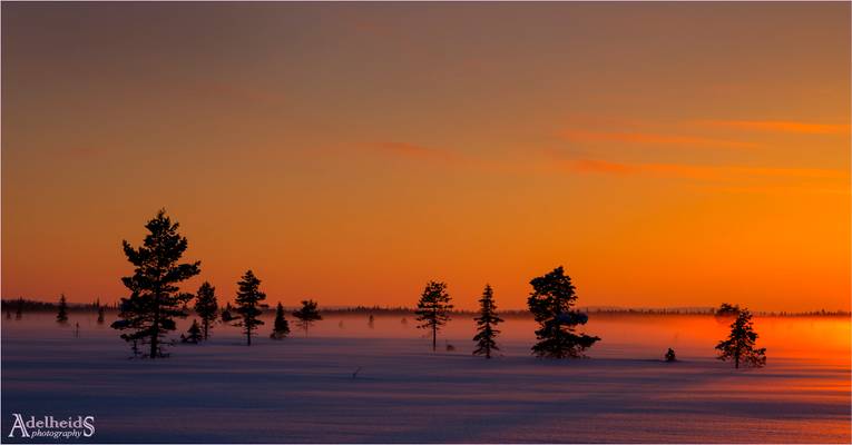 Misty Sunset, Sweden