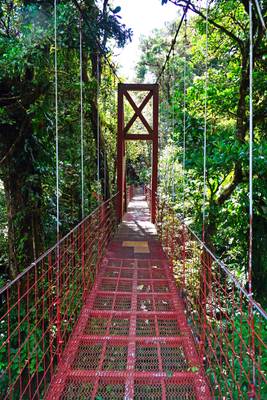 Monteverde Sky Bridge