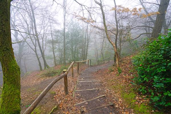 Steps down Leith Hill, Dorking, England