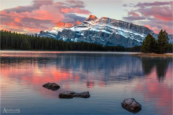 Mt. Rundle in pink
