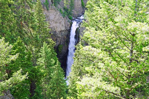 Tower Fall, Yellowstone NP, USA