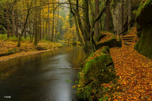 Kamenice