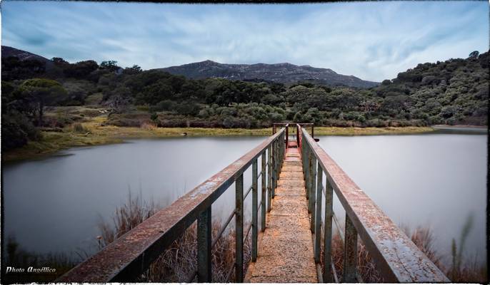 pantano la torre.