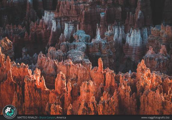 Le particolari guglie (hoodoos) del Bryce Canyon