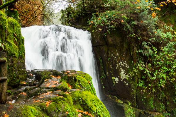 Upper Sweet Creek Waterfalls, Oregon