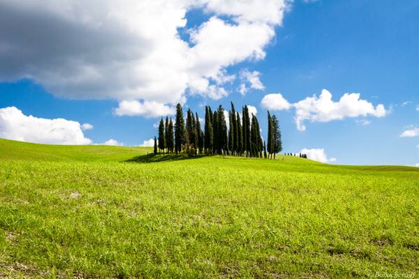 val d'Orcia-041