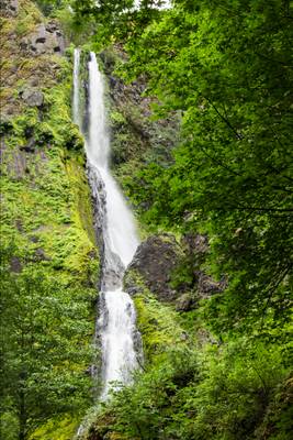 Starvation Creek Falls, Oregon