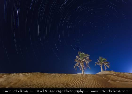Kuwait - Star Trails over Two Palm Trees in the Desert