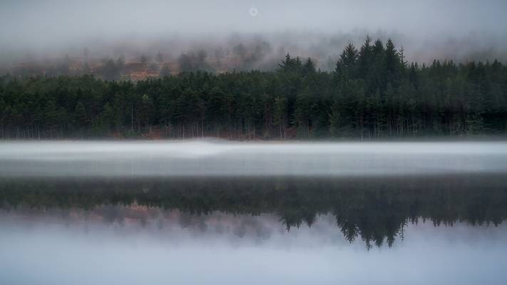 Reflected Mist