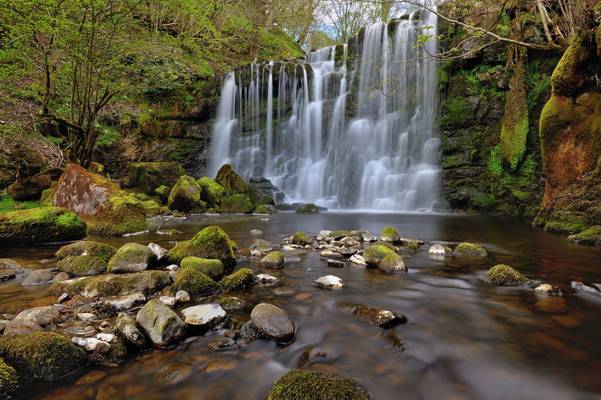 Wharfedale wonder