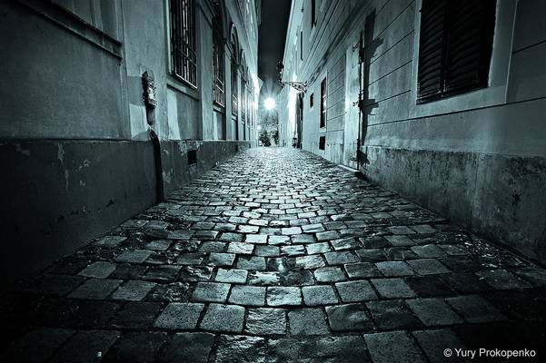 Night Walk in Budapest