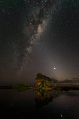 The Astro Tree