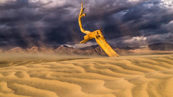 Summoning the Forces