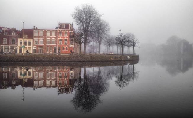 Misty mornings, Haarlem