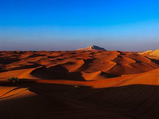Dubai desert
