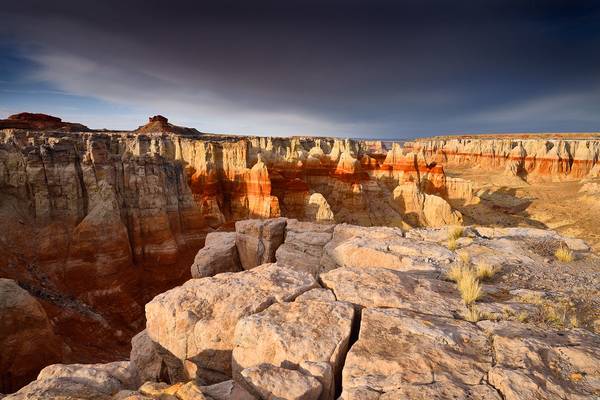 Contrast Light at Coalmine Canyon