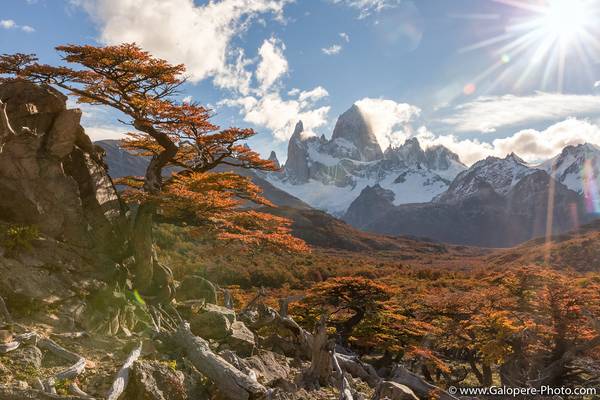 22. Lago de los Tres couleur d'automne, El Chaltén, Patagonie Argentine-14.jpg