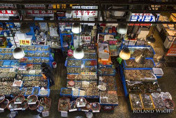 Seoul - Noryangjin Fish Market