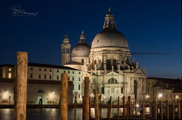 Venice- Basilica di Santa Maria della Salute