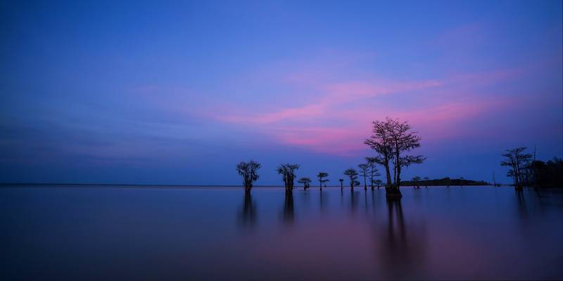 Blue Hour Moultrie