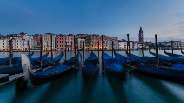 Good morning Venice