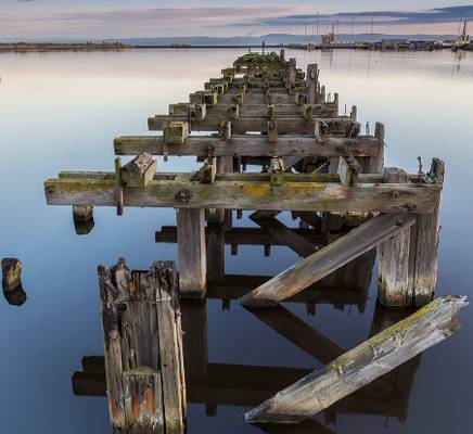 Leith Docks